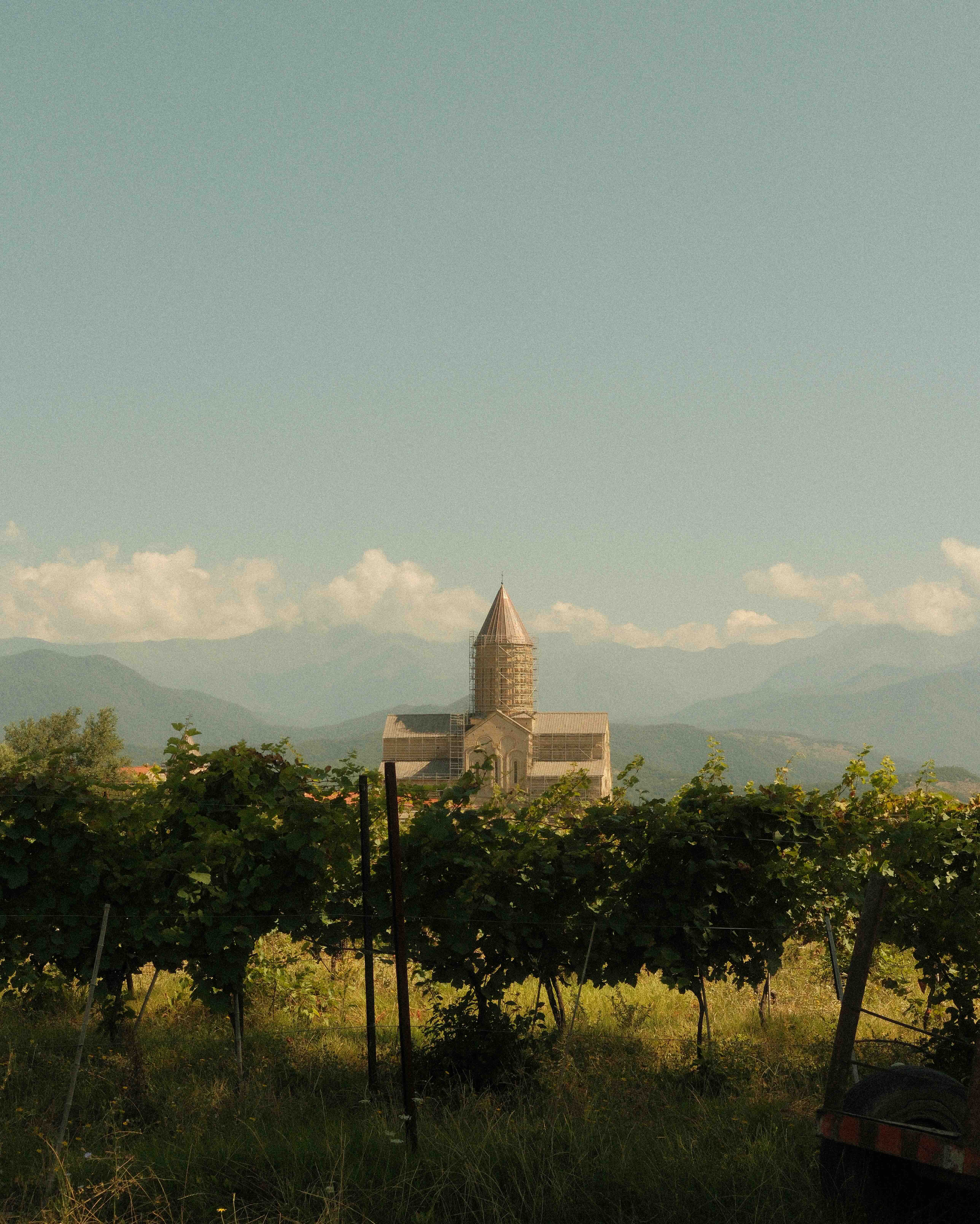 Alaverdi vineyard, Kakheti