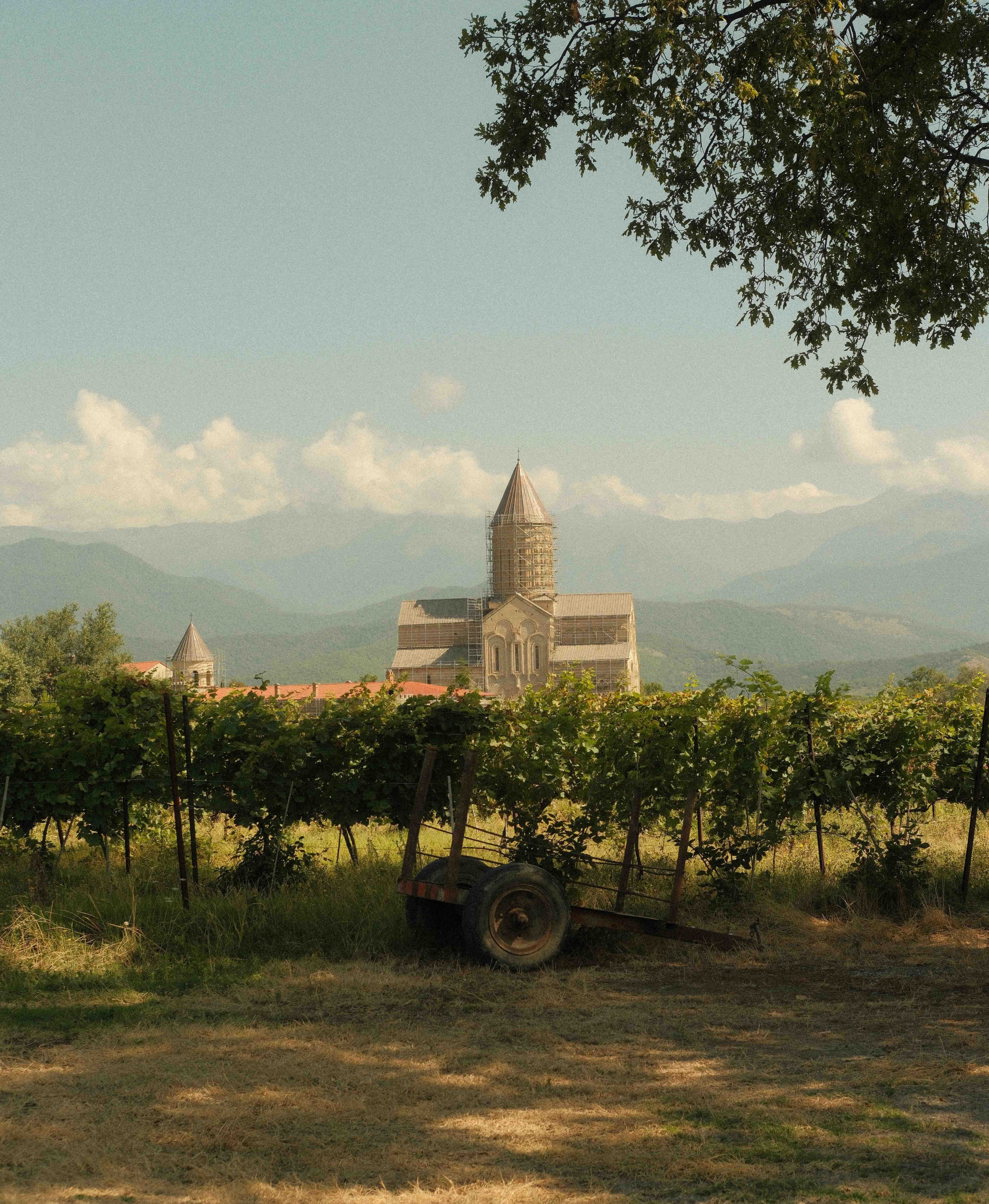 Kakheti vineyards and Alaverdi Monastery